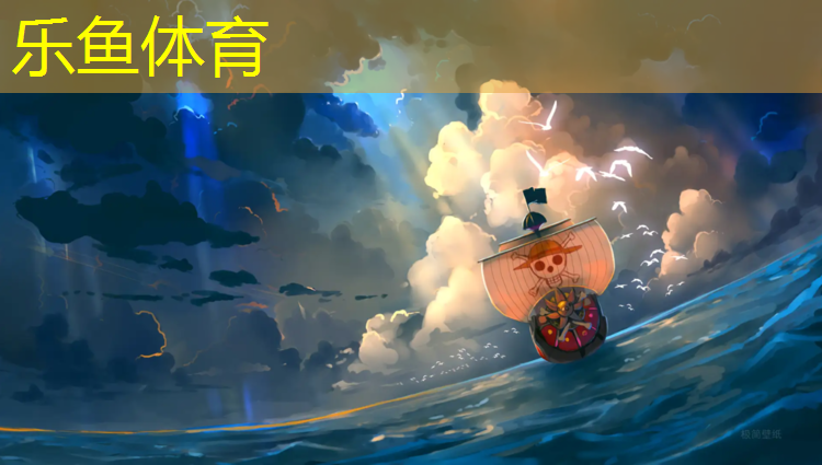 乐鱼体育,塑胶跑道建造费用