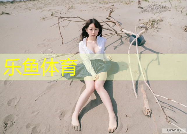 <strong>乐鱼体育,足球塑胶跑道设计</strong>